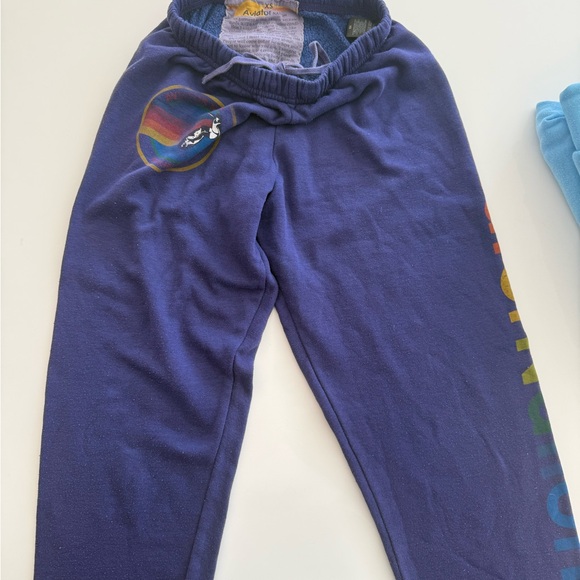Aviator Nation Pants - Aviator Nation Deep Purple Joggers with Rainbow Accents